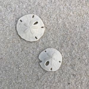 Meet your Posher, Tia